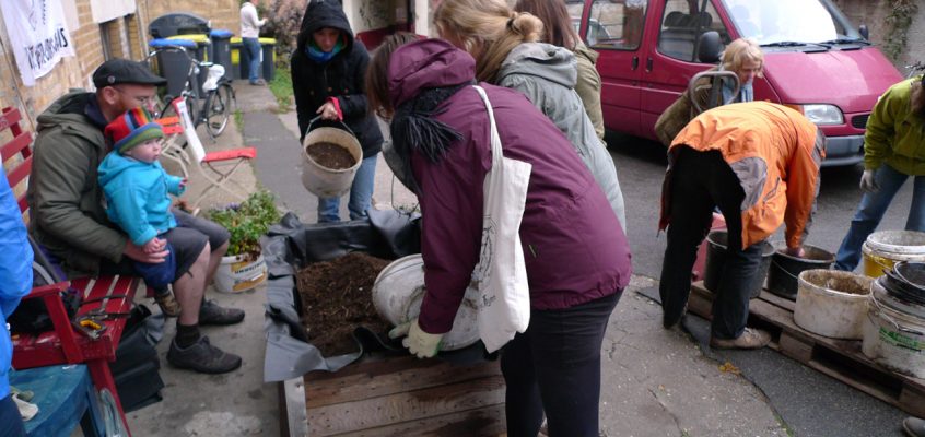 Pflanzaktion beim MitOst-Festival